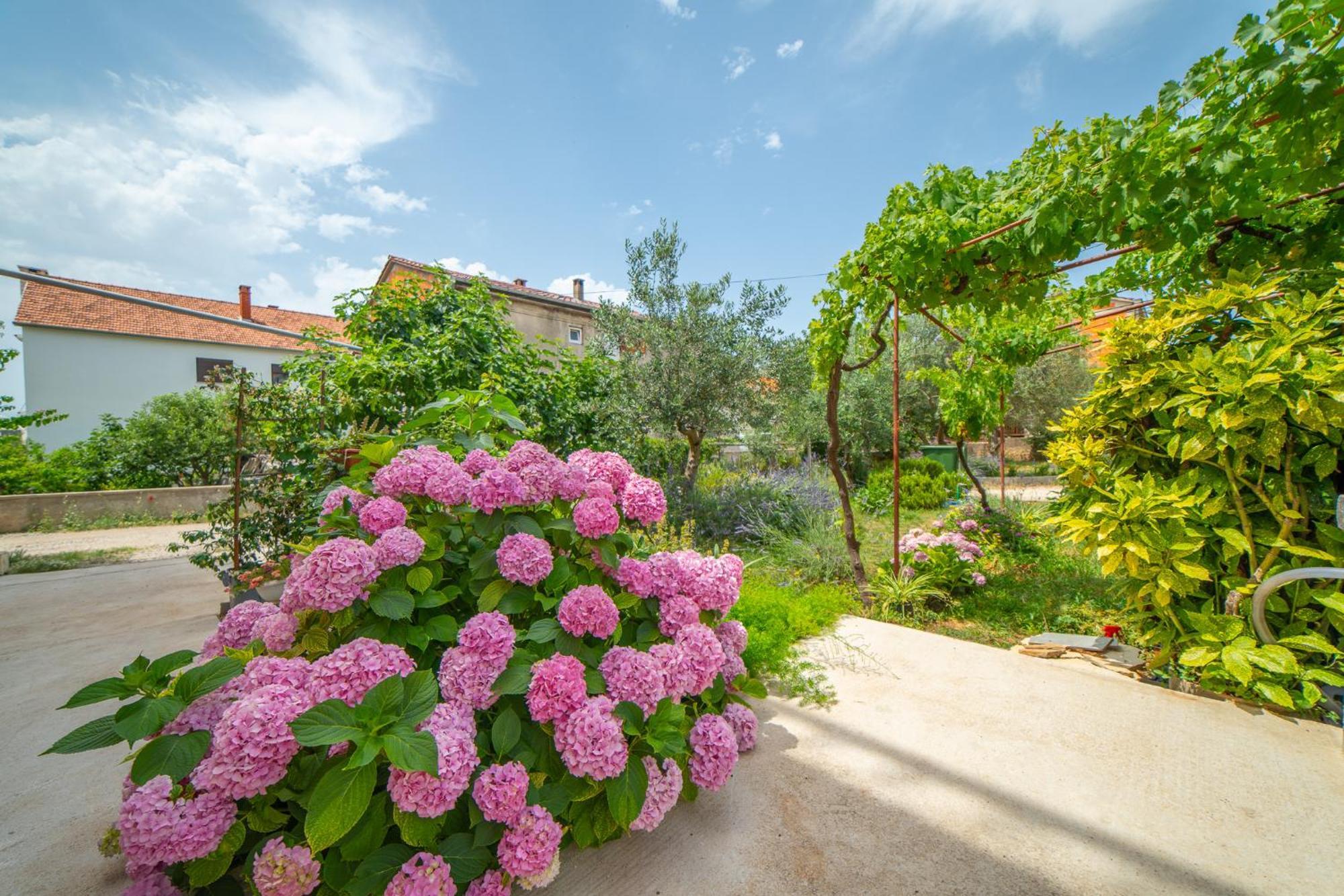 Hotel House Of Mile Zadar Exterior foto